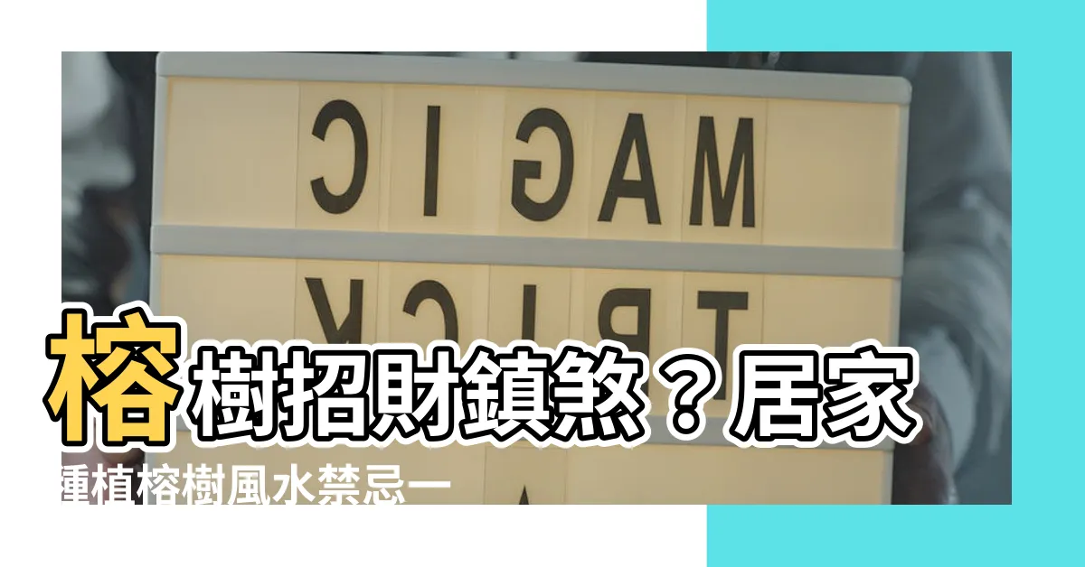 【榕樹風水禁忌】榕樹招財鎮煞？居家種植榕樹風水禁忌一次搞懂