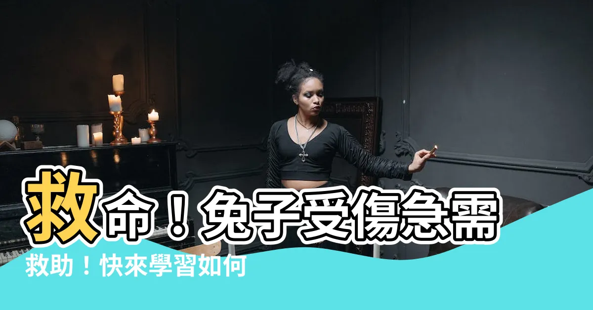 【兔子受傷】救命！兔子受傷急需救助！快來學習如何有效照料兔子傷口