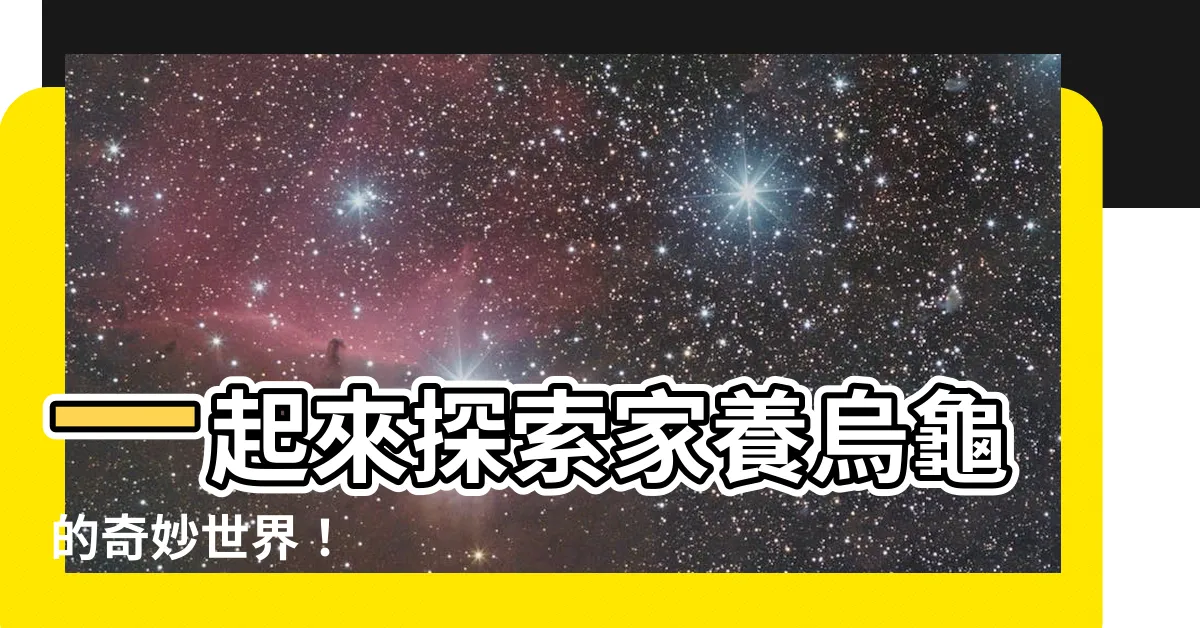 【家養烏龜】一起來探索家養烏龜的奇妙世界！