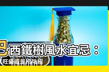 【巴西鐵樹 風水】巴西鐵樹風水宜忌：財氣旺盛還是招陰招邪？