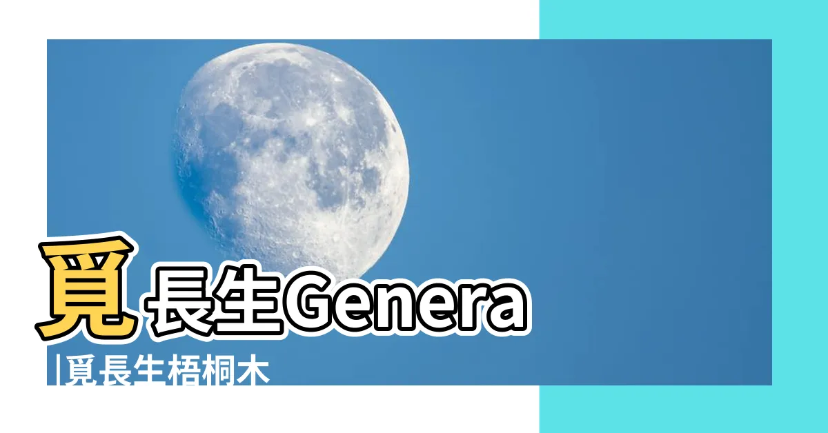 【覓長生 梧桐木】覓長生General |覓長生梧桐木怎麼獲得 |覓長生梧桐木怎麼獲得 |