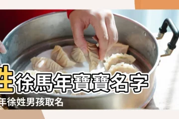 【馬年徐姓寶寶取名】姓徐馬年寶寶名字 |馬年徐姓男孩取名陰曆八月出生 |馬年寶寶起名大全最新馬年寶寶名字大全 |