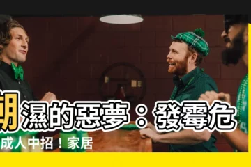 【潮濕 發黴】潮濕的惡夢：發黴危機7成人中招！家居防潮攻略大公開
