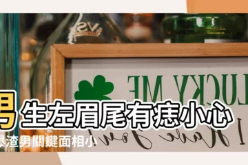 【左眉尾有痣男】男生左眉尾有痣小心！曝渣男關鍵面相小三跡象