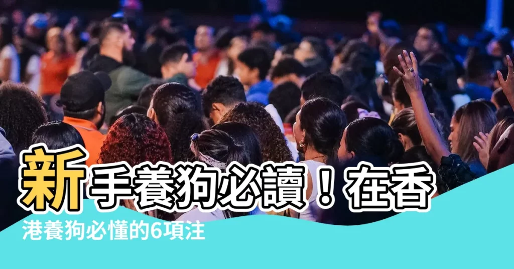 【怎麼養狗】新手養狗必讀！在香港養狗必懂的6項注意事項