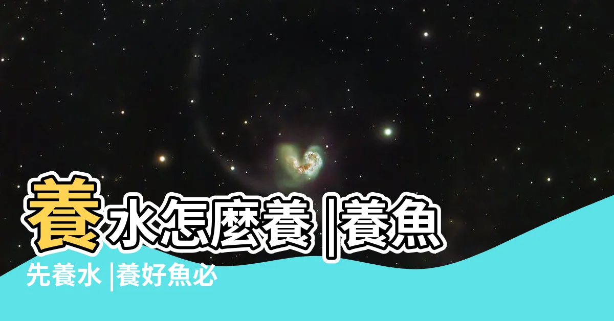 【養魚先養水】養水怎麼養 |養魚先養水 |養好魚必先養好水過濾器濾材挑選一次搞定 |