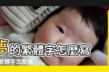 【夢繁體字複製】夢的繁體字怎麼寫 |的繁體字怎麼寫 |夢的繁體字怎麼寫 |
