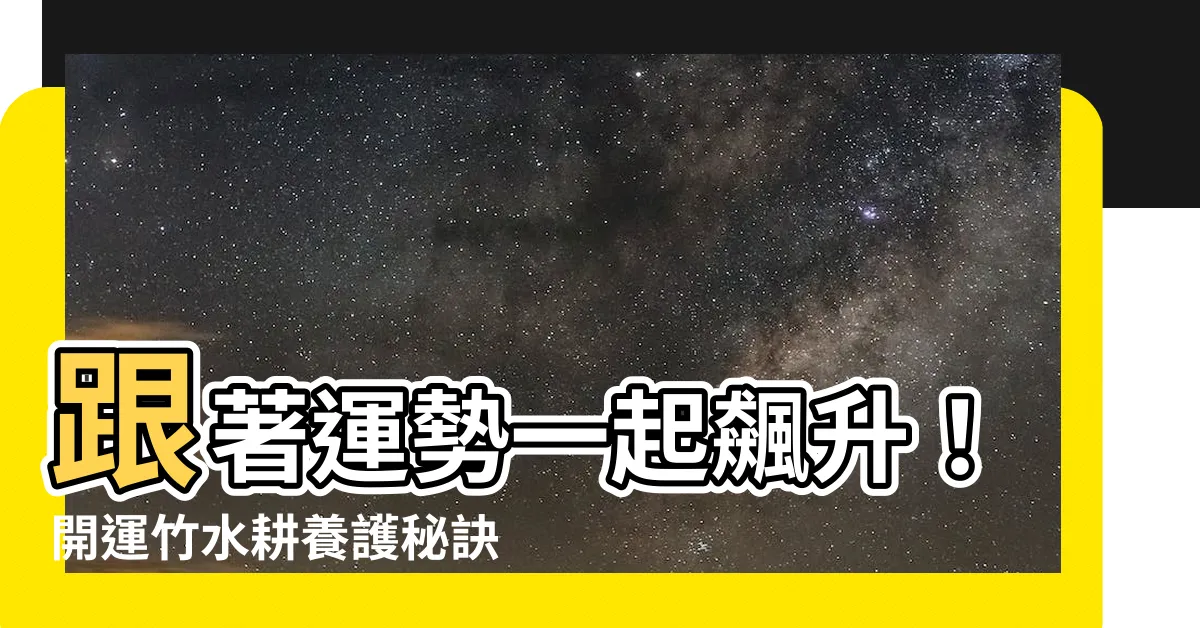 【開運竹 水耕】跟著運勢一起飆升！開運竹水耕養護秘訣，讓你財富滿盈