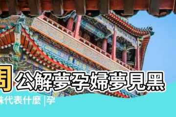 【孕婦夢見黑黑蜘蛛上身】周公解夢孕婦夢見黑蜘蛛代表什麼 |孕婦夢見黑蜘蛛 |做夢夢見黑蜘蛛是什麼意思夢見黑蜘蛛是什麼意思 |
