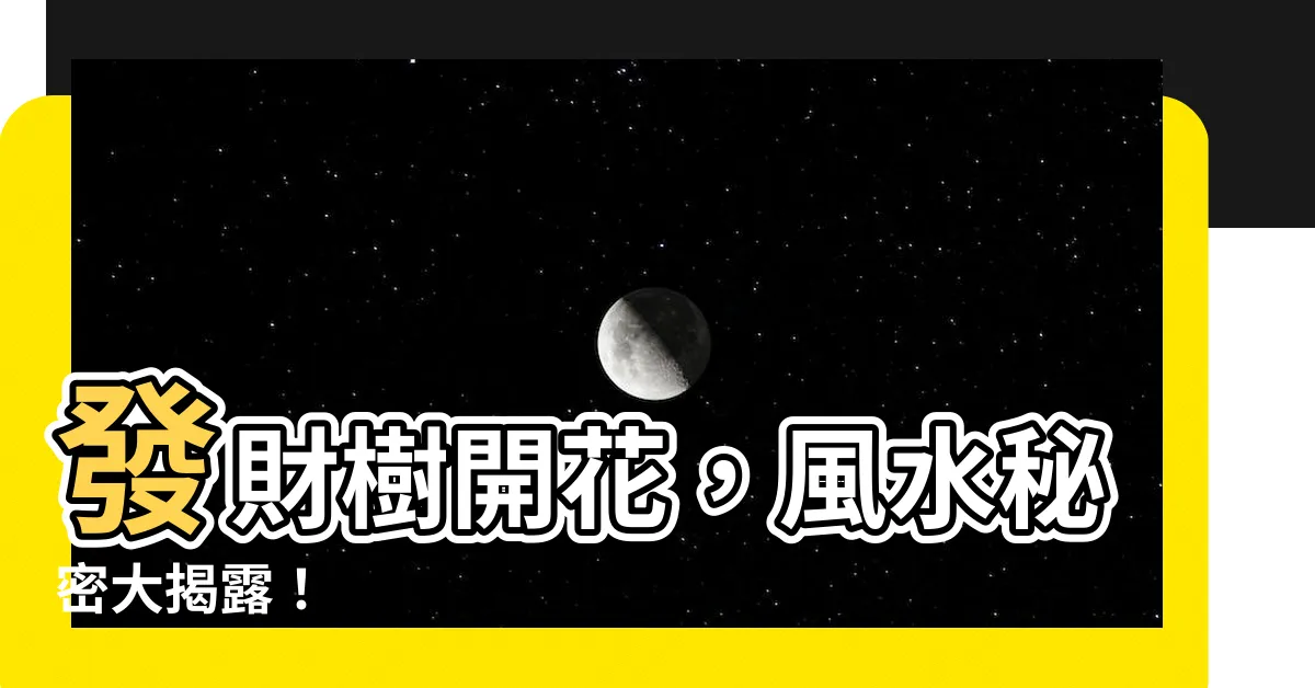 【發財樹開花 風水】發財樹開花，風水秘密大揭露！