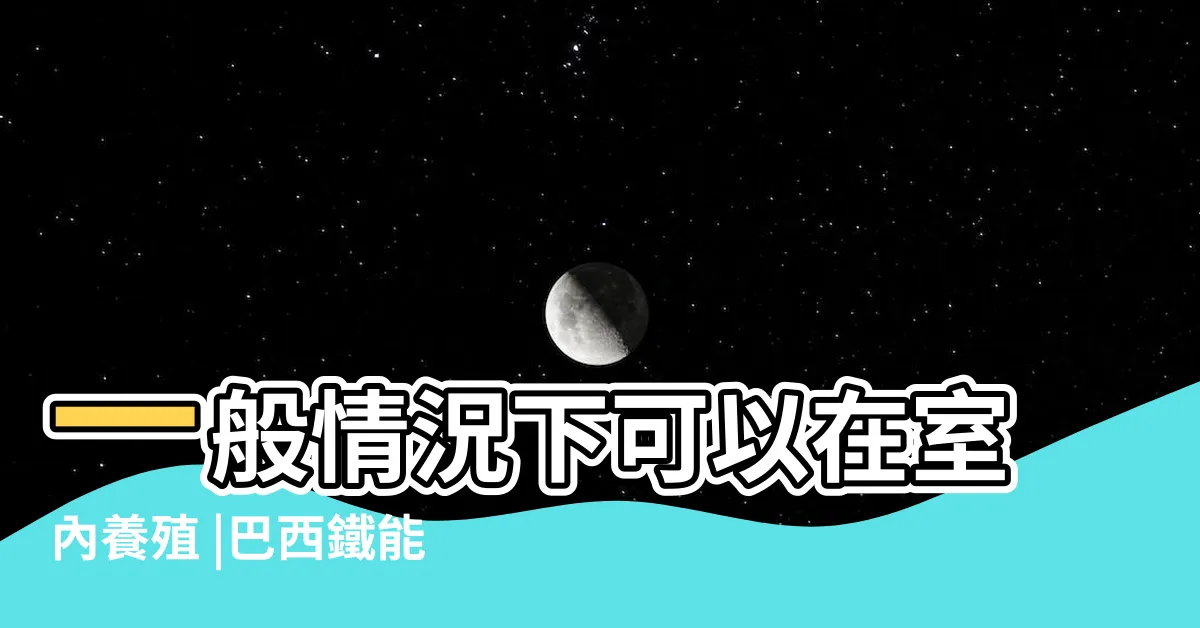 【巴西鐵樹生肖】一般情況下可以在室內養殖 |巴西鐵能不能放在室內 |搜索結果 |