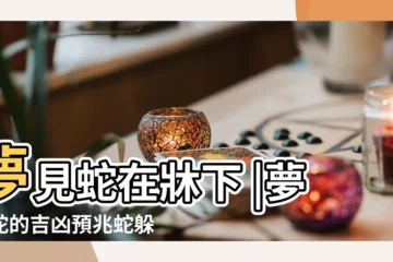 【夢見三條白蛇在牀底下】夢見蛇在牀下 |夢見蛇的吉凶預兆蛇躲在 |將會疾病纏身 |
