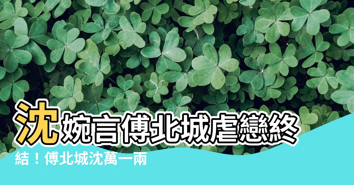 【傅北城沈萬一】沈婉言傅北城虐戀終結！傅北城沈萬一兩小無猜《情深緣淺》