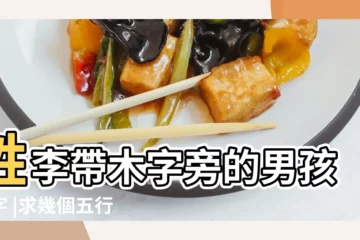 【五行屬木李姓男孩名字大全】姓李帶木字旁的男孩名字 |求幾個五行屬水木的李姓男孩的吉祥名 |李姓五行屬木的男孩名字 |