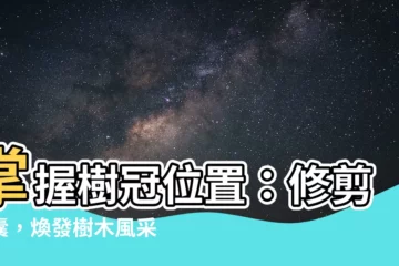 【樹冠位置】掌握樹冠位置：修剪錦囊，煥發樹木風采
