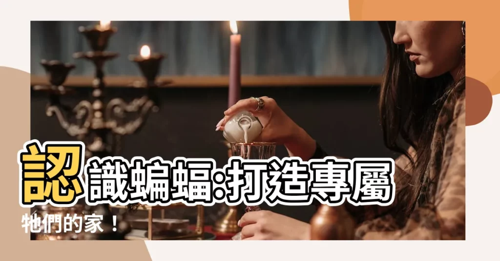 【蝙蝠屋】認識蝙蝠:打造專屬牠們的家！