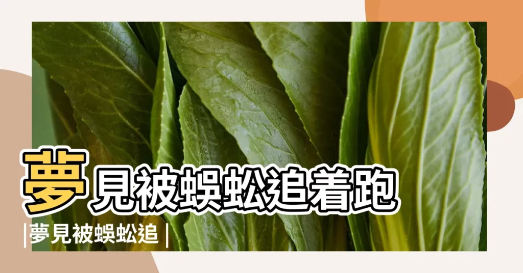 夢見被蜈蚣追着跑 |夢見被蜈蚣追 |做夢夢見被蜈蚣追是什麼意思 |【夢裏被蜈蚣追着跑】