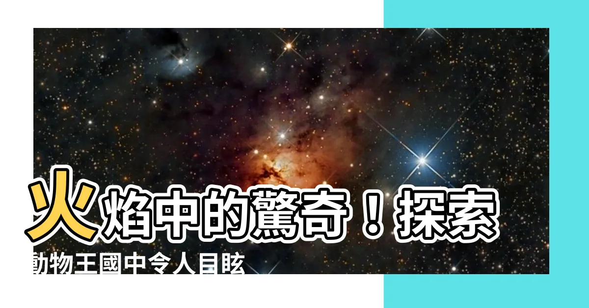 【動物 火】火焰中的驚奇！探索動物王國中令人目眩的火性生物
