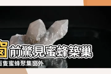 【蜜蜂在窗外築巢】窗前驚見蜜蜂築巢　上百隻蜜蜂聚集窗外嚇壞居民！