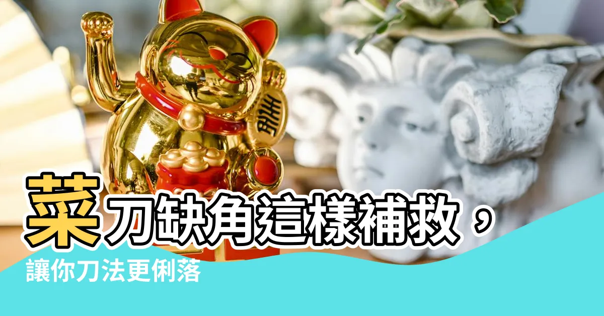 【菜刀缺角】菜刀缺角這樣補救，讓你刀法更俐落