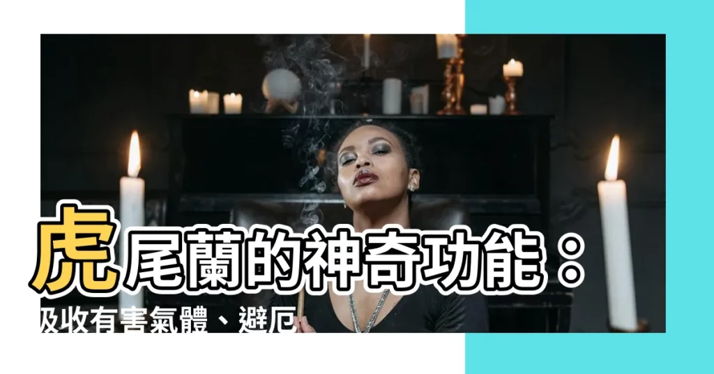 【虎尾蘭功能】虎尾蘭的神奇功能：吸收有害氣體、避厄運，讓你家美好又健康