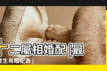 【屬相配對】十二屬相婚配 |最完整生肖婚配表 |你的生肖配什麼最好 |