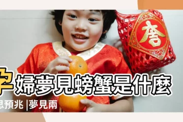 【孕婦夢見兩隻螃蟹】孕婦夢見螃蟹是什麼意思預兆 |夢見兩隻螃蟹是什麼意思 |孕婦夢見螃蟹 |