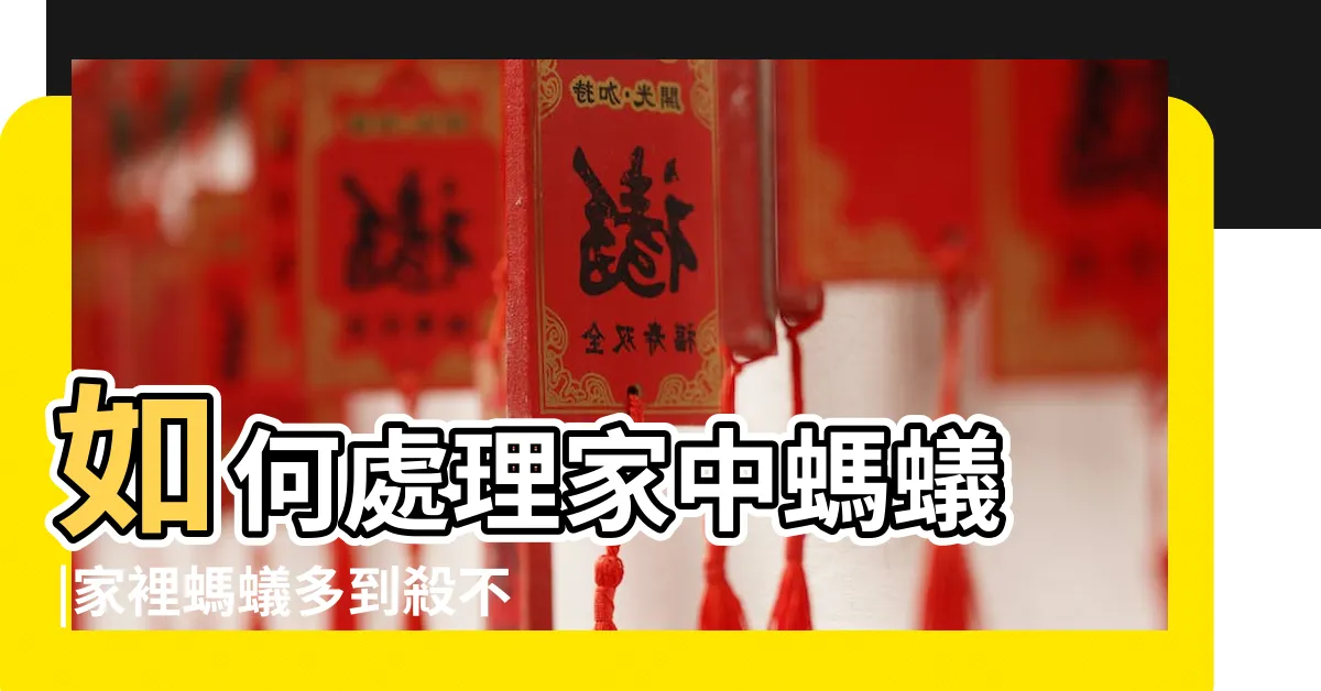 【家裡螞蟻窩】如何處理家中螞蟻 |家裡螞蟻多到殺不完怎麼辦 |居家達人教4招滅蟻方法 |