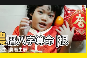 【農曆算命生辰八字免費】農曆八字算命 |根據出生 |農曆生辰八字算命 |