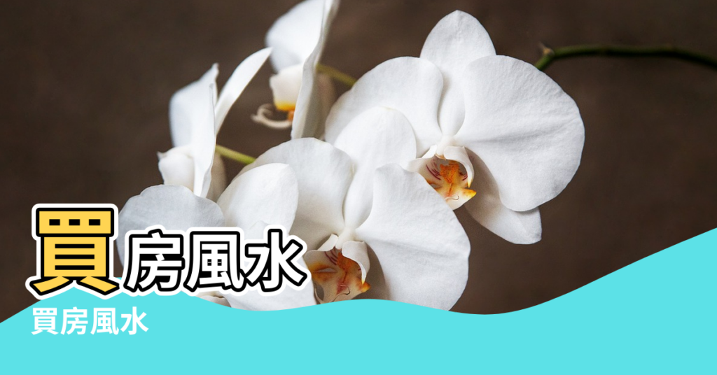 【風水前靠水】買房風水 |買房風水 |風水前靠水 |