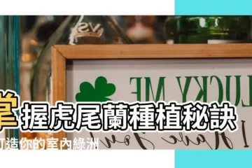 【虎尾蘭種植方法】掌握虎尾蘭種植秘訣，打造你的室內綠洲！