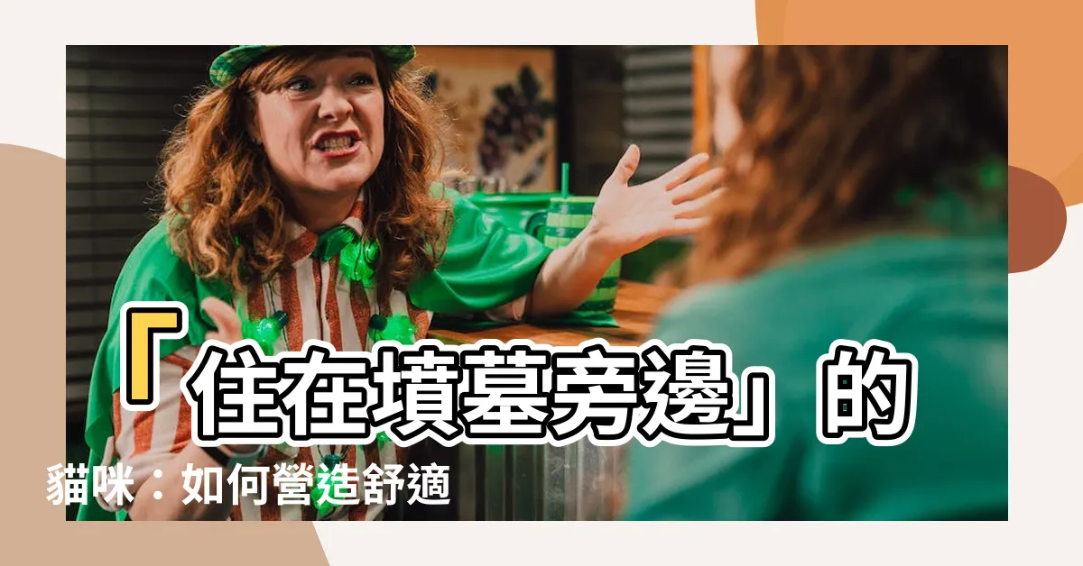 【住在墳墓旁邊】「住在墳墓旁邊」的貓咪：如何營造舒適風水環境？