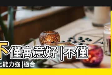 【在家裏放什麼花好】不僅寓意好 |不僅淨化能力強 |適合養在家裏 |