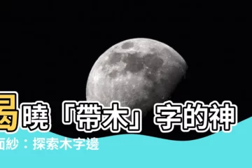 【木字邊】揭曉「帶木」字的神秘面紗：探索木字邊字詞大寶藏！