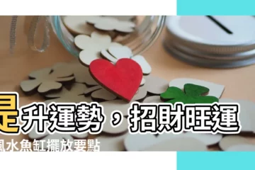 【風水魚缸】提升運勢，招財旺運！風水魚缸擺放要點大公開