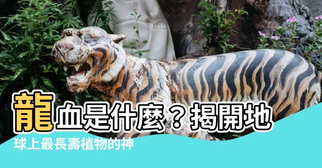 【龍血是什麼】龍血是什麼？揭開地球上最長壽植物的神秘面紗