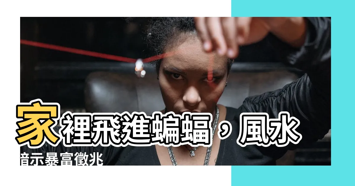 【蝙蝠入屋風水】家裡飛進蝙蝠，風水暗示暴富徵兆