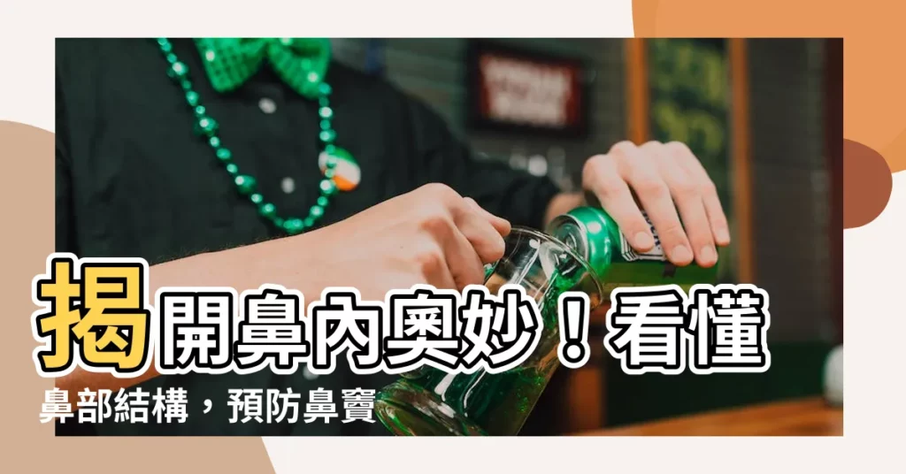 【鼻 部分】揭開鼻內奧妙!看懂鼻部結構,預防鼻竇炎