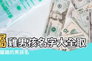 【男孩姓名雞年】屬雞男孩名字大全取名 |屬雞的男孩名字大全集 |屬雞的男孩子叫什麼名字好雞年男孩名字首選 |