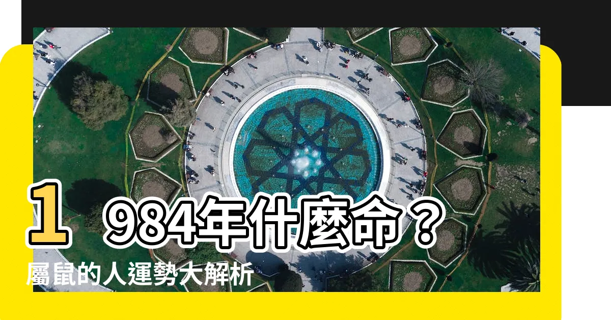 【1984年什麼命】1984年什麼命？屬鼠的人運勢大解析，揭開人生際遇！