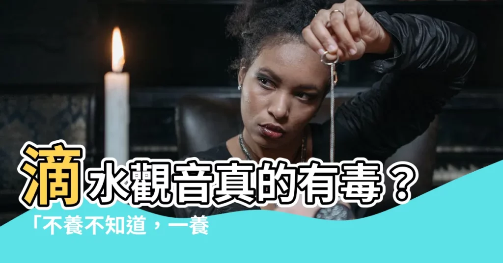 【滴水觀音】滴水觀音真的有毒？「不養不知道，一養嚇一跳」！