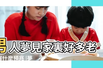 【男人夢到家裏很多老鼠】男人夢見家裏好多老鼠有什麼預兆 |夢見家裡有很多老鼠 |男人夢到老鼠什麼預兆 |