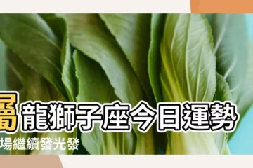 【受龍獅子座幸運】屬龍獅子座今日運勢 |職場繼續發光發亮 |獅子座2024星座運程預測 |