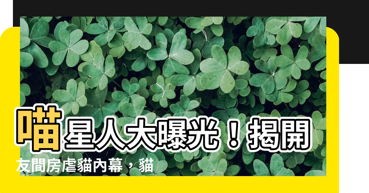 【友間房】喵星人大曝光！揭開友間房虐貓內幕，貓咪瘦骨嶙峋，衞生環境堪憂