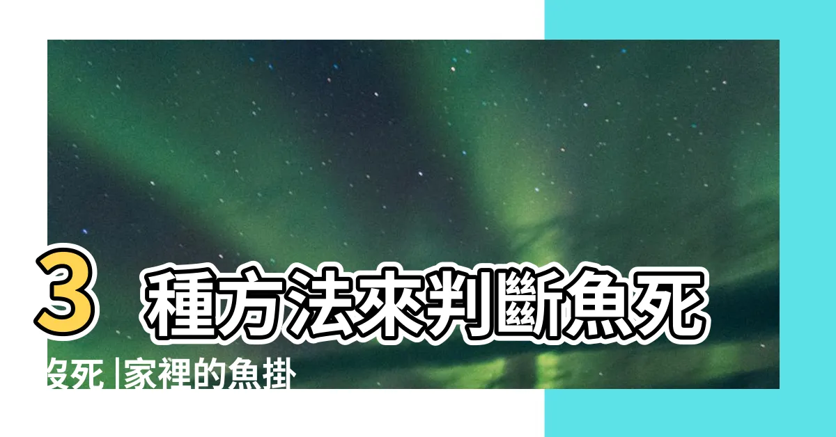 【死掉的魚】3種方法來判斷魚死沒死 |家裡的魚掛了怎麼處理 |寵物魚死後如何處理 |