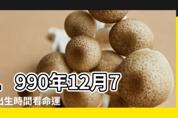 【1990年12月7日農曆算命】1990年12月7日出生時間看命運 |1990年12月7日出生的人生辰八字測算 |1990年12月7日出生的人命好嗎 |
