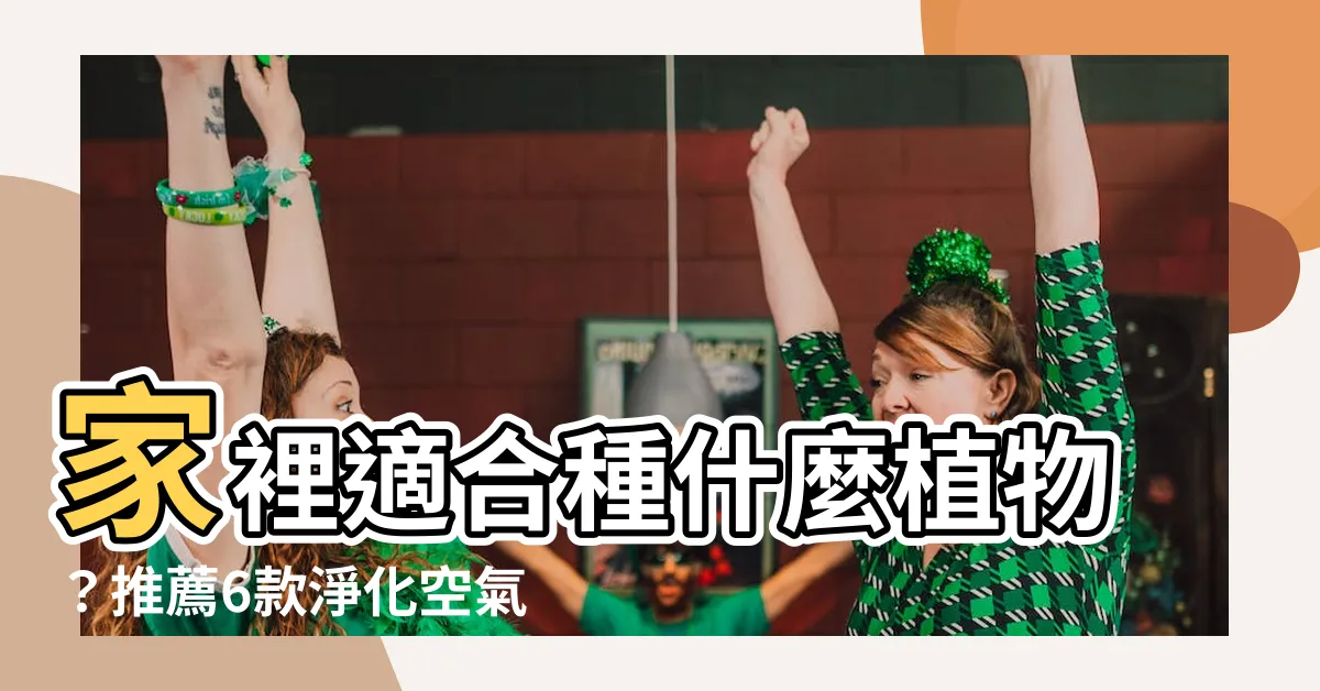 【家裡適合種什麼植物】家裡適合種什麼植物？推薦6款淨化空氣、旺家運室內盆栽