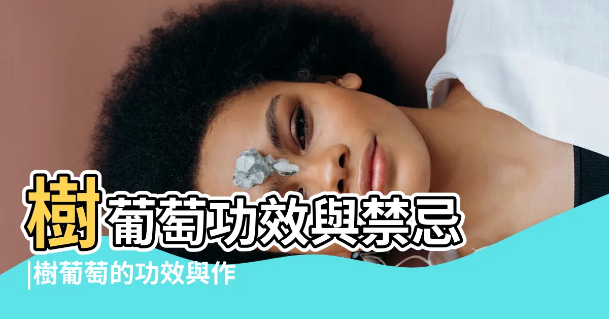 【樹葡萄功效與禁忌】樹葡萄功效與禁忌 |樹葡萄的功效與作用禁忌 |樹葡萄香甜多汁還能防疾病 |
