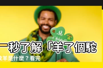 【羊了個駝放羊是什麼意思】一秒瞭解「羊了個駝」放羊是什麼？看完立刻掌握通關密技！