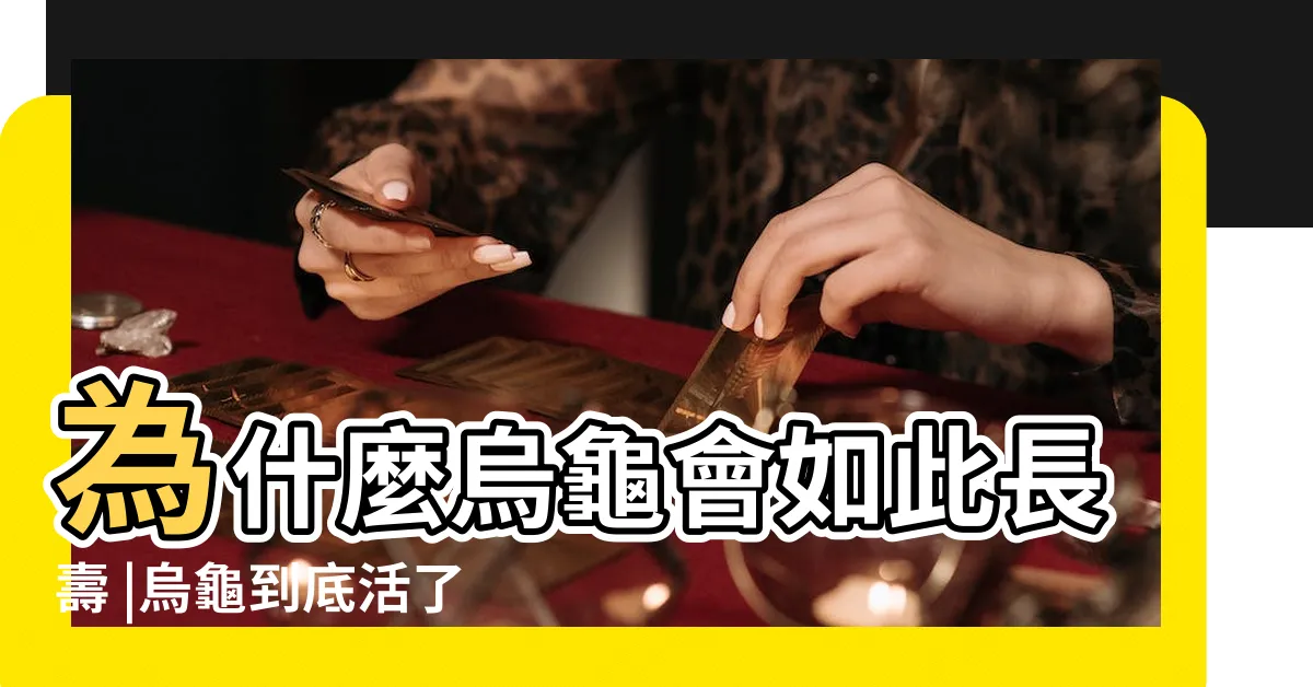 【烏龜長壽原因】為什麼烏龜會如此長壽 |烏龜到底活了多久 |烏龜長壽秘密在硬殼 |